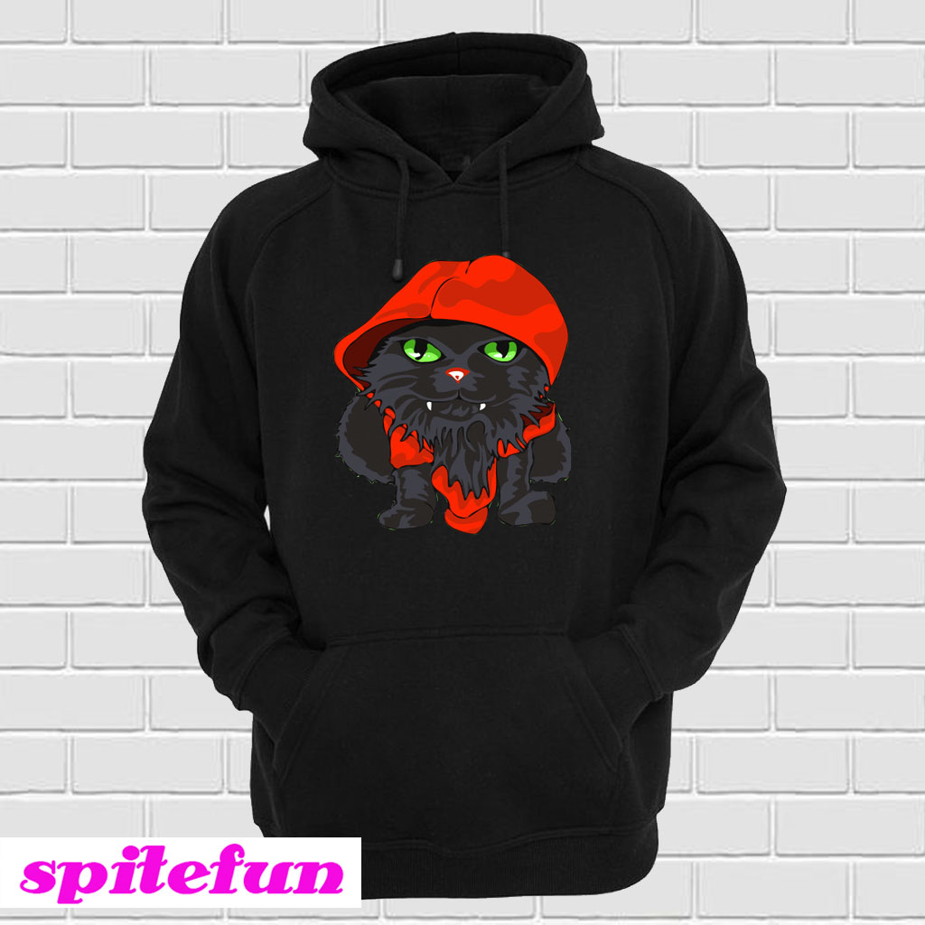 Cat in Hoodie